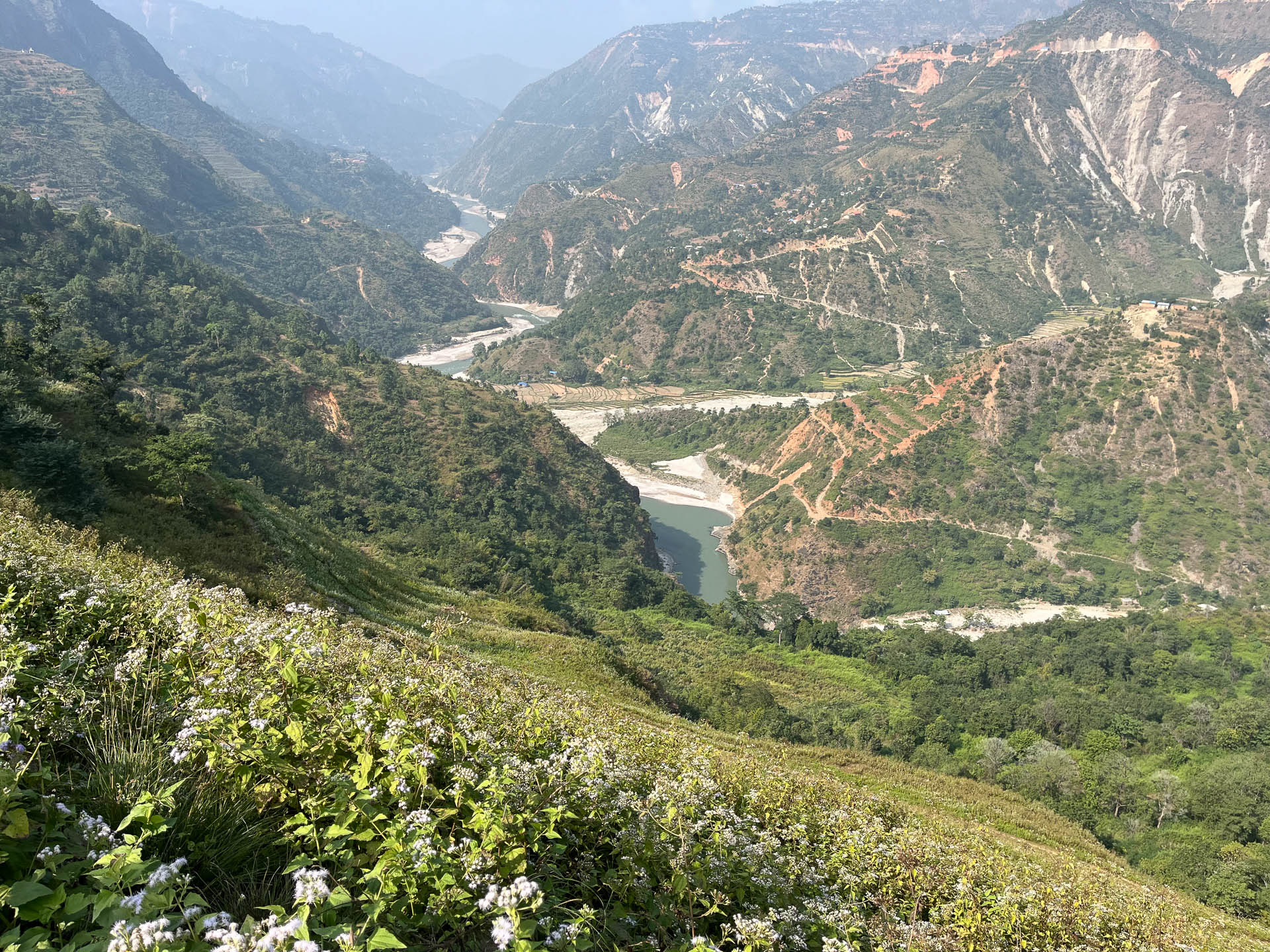 240400_FLSP_Agric_0001.jpg