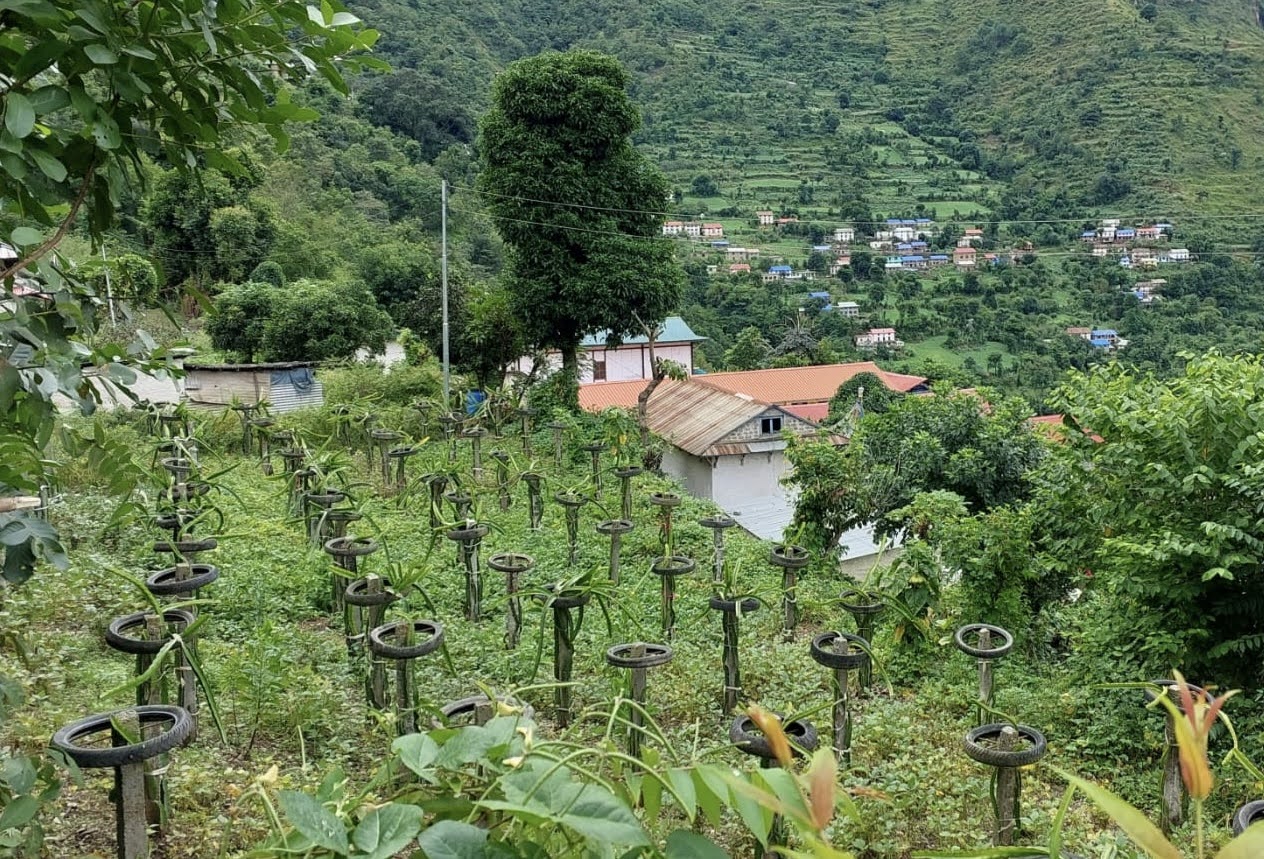 240400_FLSP_Agric_0003.jpg