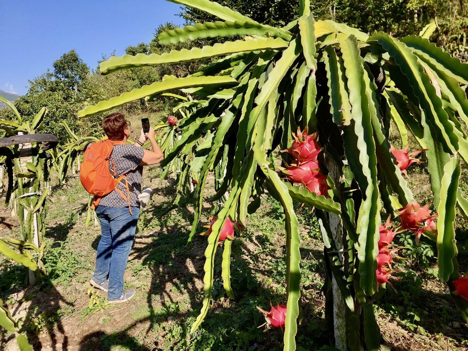 240400_FLSP_Agric_0005.jpg