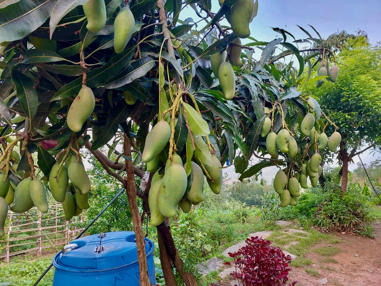240400_FLSP_Agric_0008.jpg