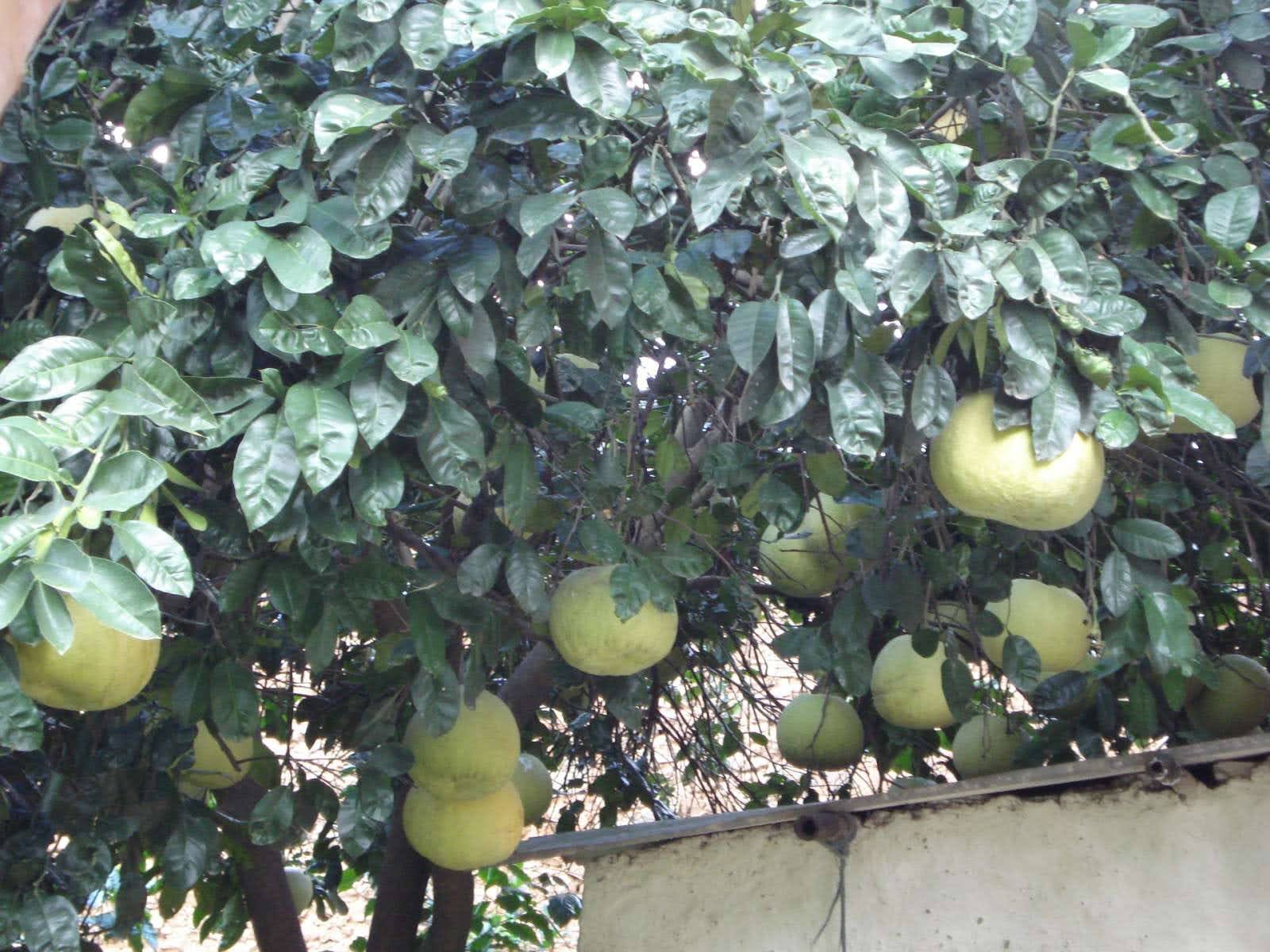 240400_FLSP_Agric_0009.jpg