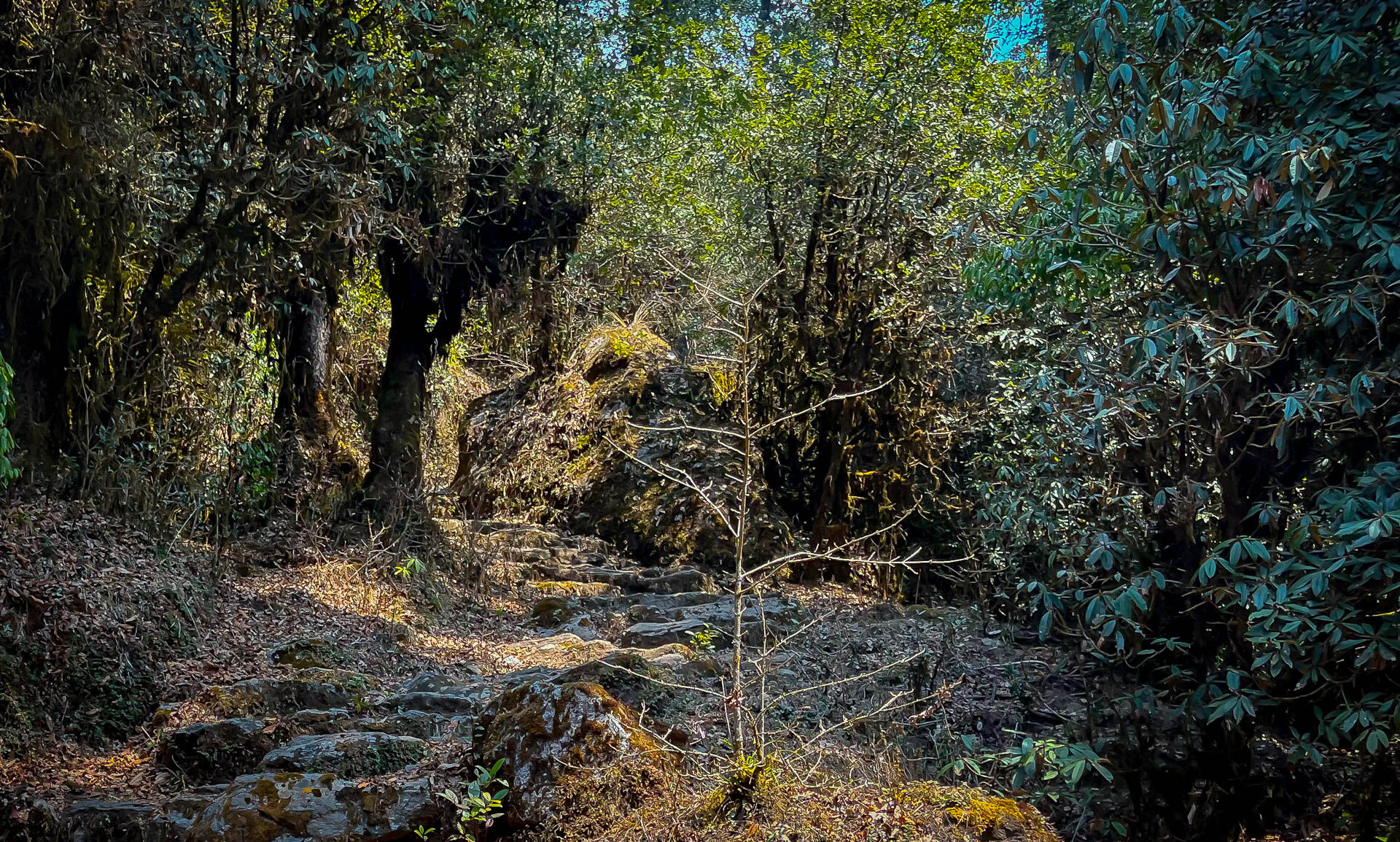 250101_Meschen_Landsch._0018.jpg